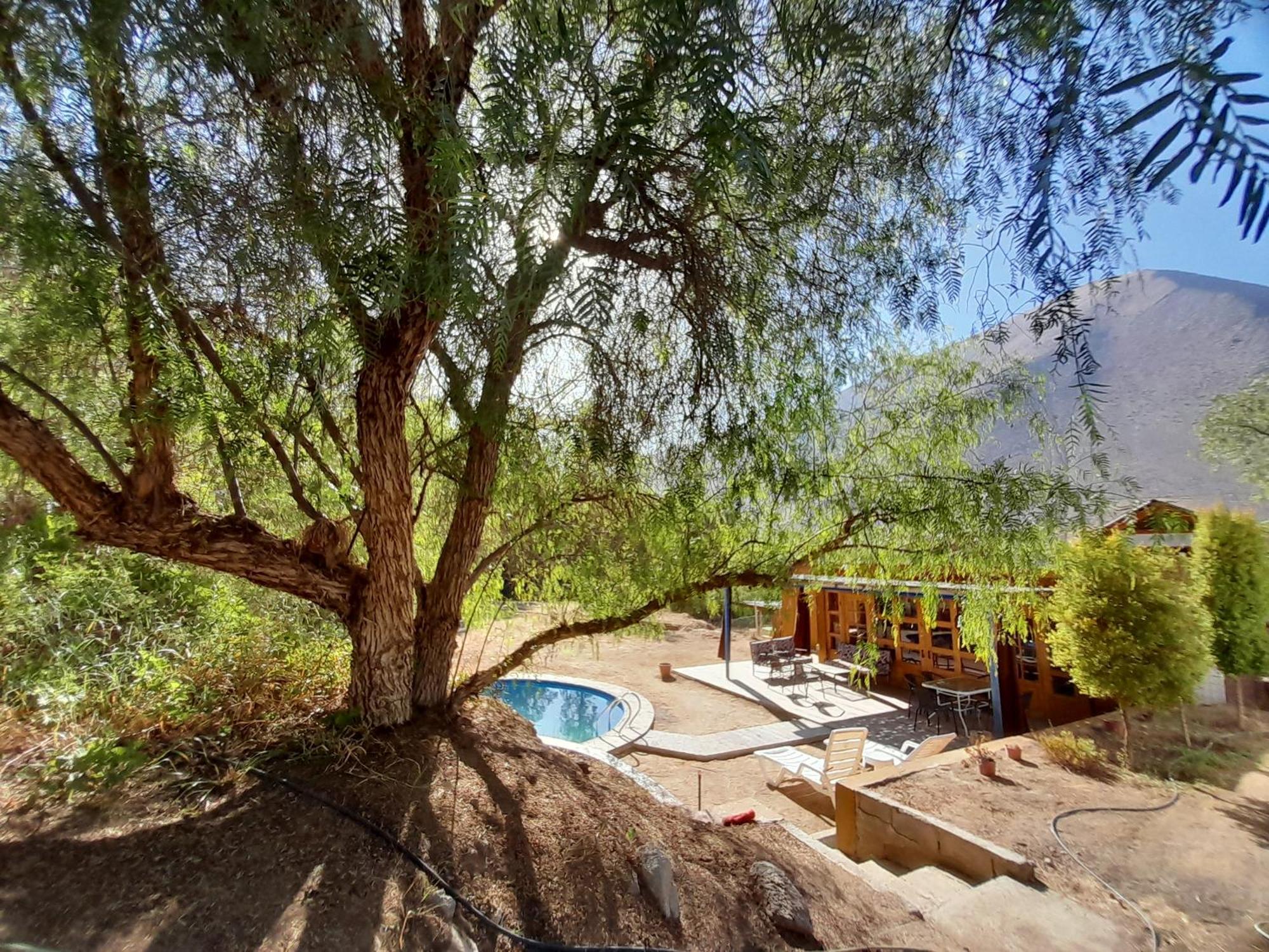 Casa Alma